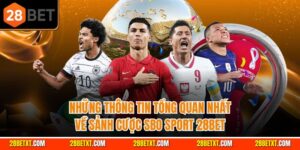 28bet nhà cái uy tín hàng đầu Việt Nam